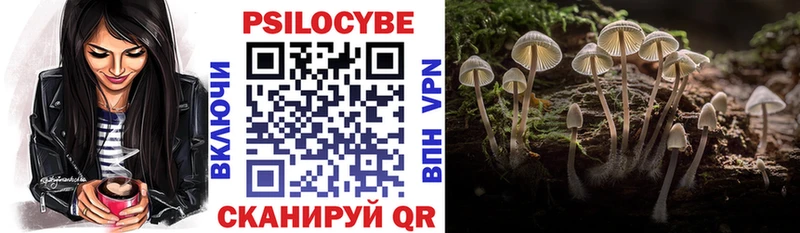 Псилоцибиновые грибы MAGIC MUSHROOMS  где найти   Кольчугино 