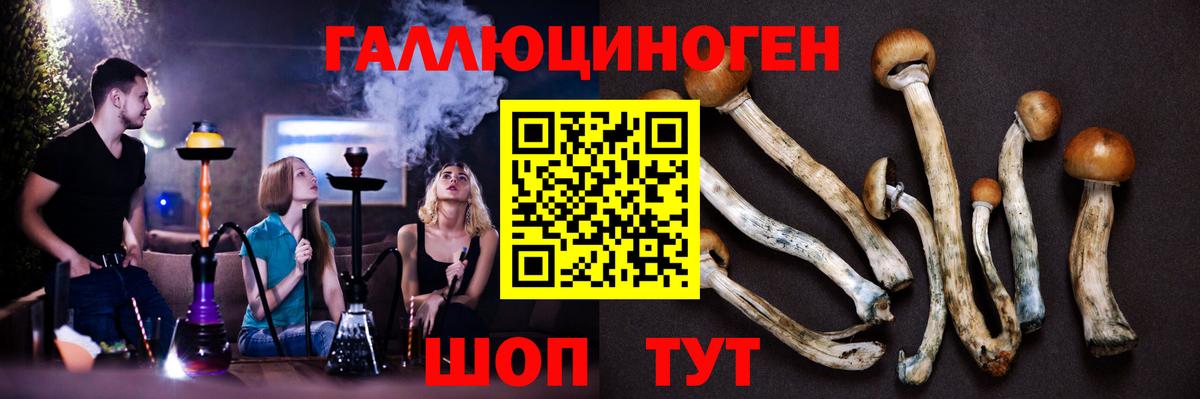 Псилоцибиновые грибы мицелий  Вход с VPN  Псилоцибиновые грибы мухоморы  Кольчугино 