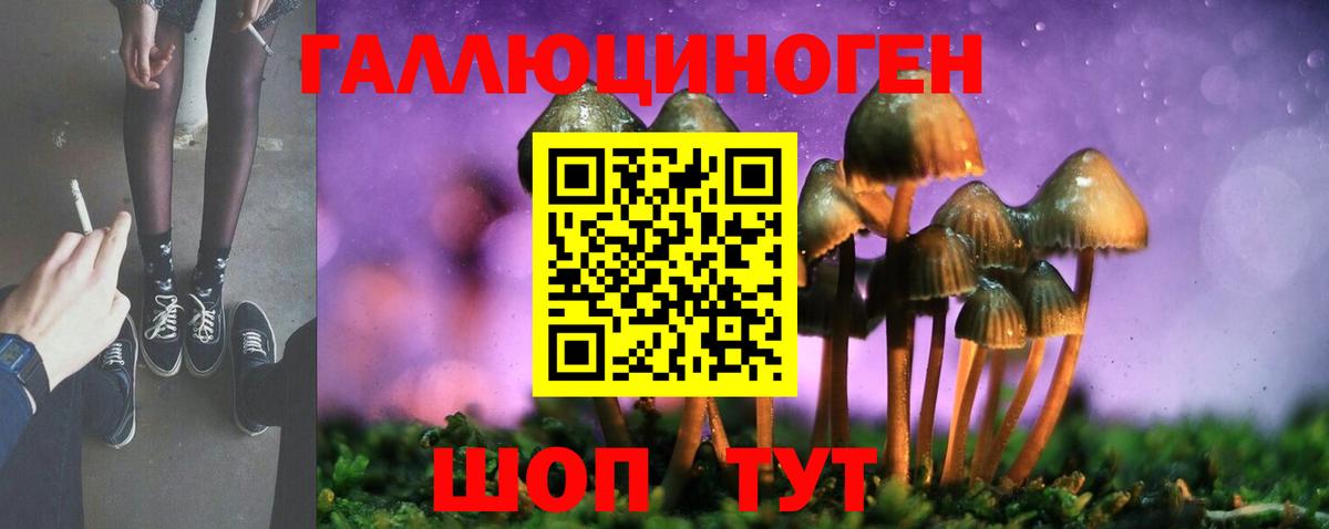 Псилоцибиновые грибы Cubensis Кольчугино