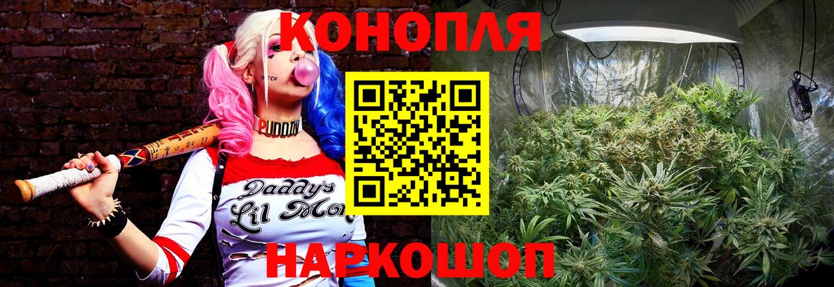 Шишки марихуана White Widow  Вход с VPN  Кольчугино  Бошки Шишки ГИДРОПОН  Бошки Шишки VHQ 